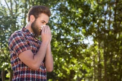 Seasonal allergies are treated by the doctors at Redding Allergy and Asthma Specialists