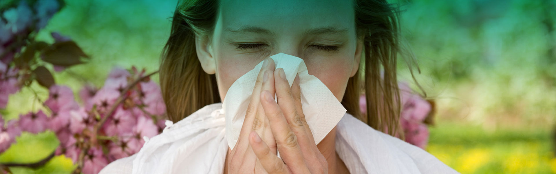 Environmental Allergies Management Banner image for Redding Allergy & Asthma Specialists | Atlanta Allergists